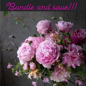 Bundle and save!